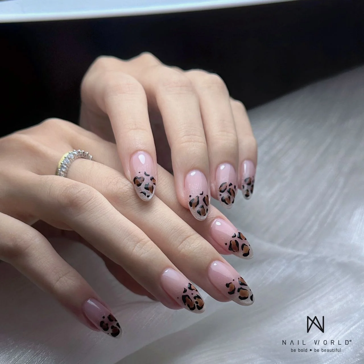 WhatsApp-Image-2024-09-24-at-13.47.54